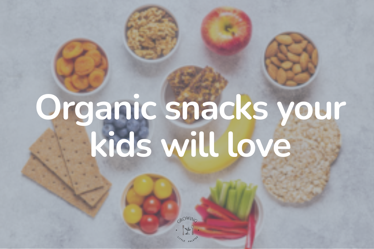 5 Organic Snacks Your Kids Will Love (Parent-Approved!)