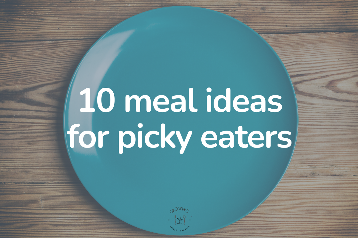 10 Meal Ideas for Picky Toddlers That They’ll Actually Eat