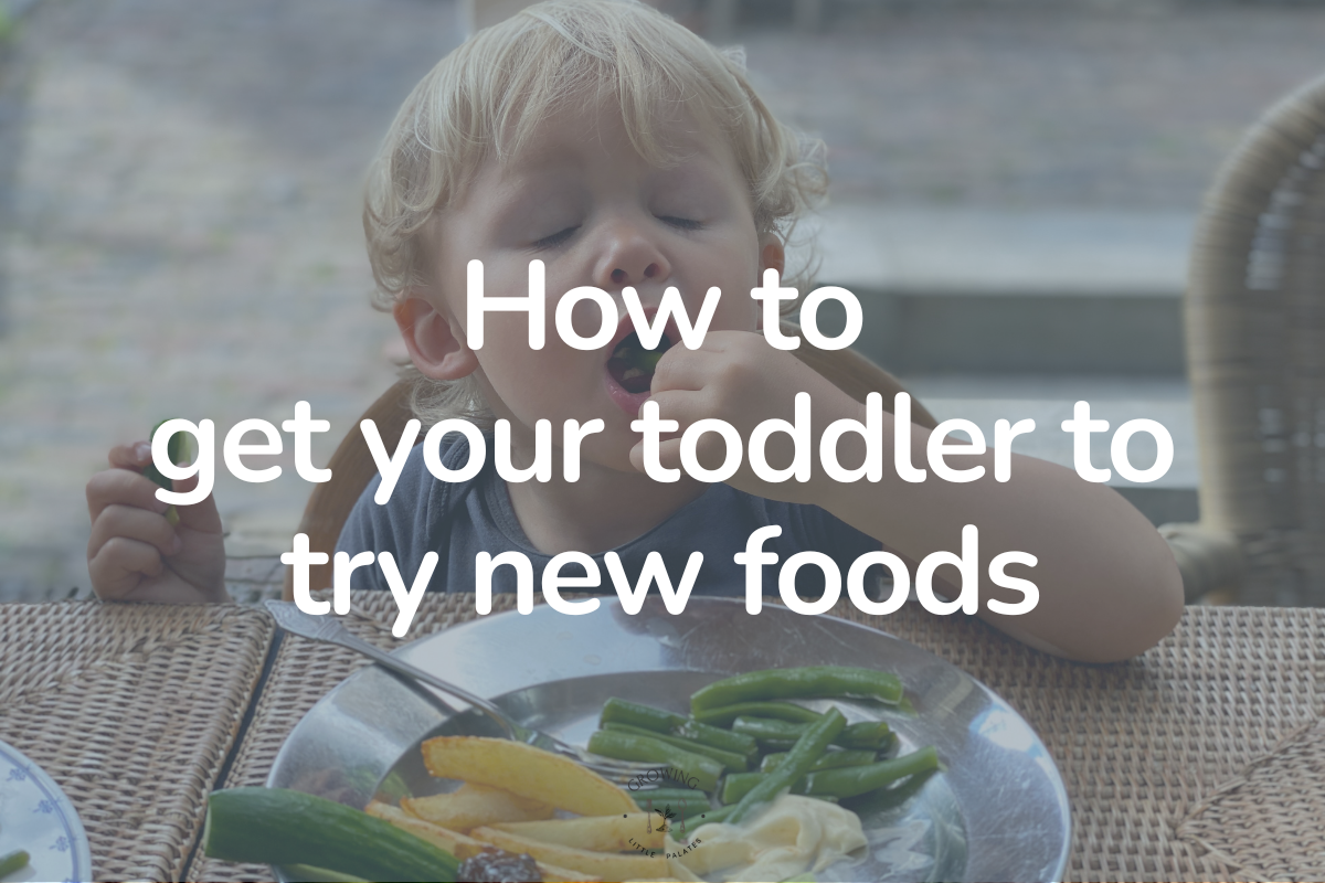 How to Get Your Toddler to Try New Foods: A Simple Step-by-Step Plan